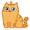 cat9    {cat9} {cat9}