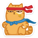 cat13    {cat13} {cat13}