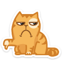 cat23    {cat23} {cat23}