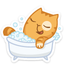 cat44    {cat44} {cat44}